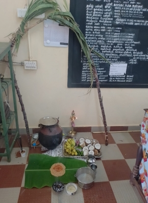 Samathuva Pongal 2023